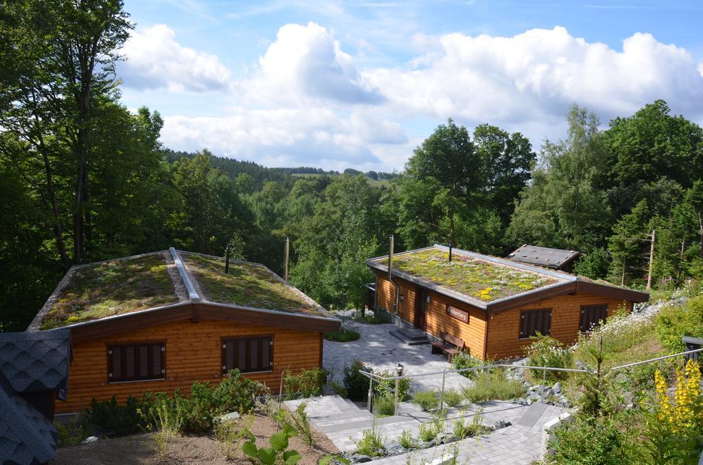 Landhaeuser Bergwiese Sankt Andreasberg Exteriör bild